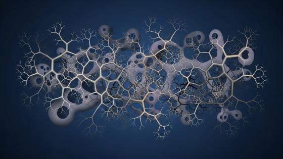 كلود بيرسزتيجن Claude Bursztejn: التفكير التشعبي/ترجمة محمد أسليم